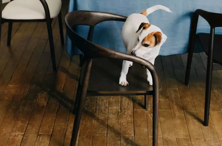 Armrests work well in larger interiors, where they do not restrict movement, but allow you to relax for a while