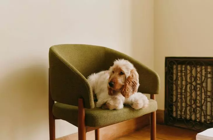 Upholstery, although it requires more attention, guarantees more comfort and can be a decorative element - fabrics with stain-resistant coatings or easy to refresh will work well, which is a huge convenience for daily use