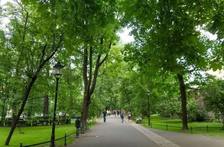 Krakowskie planty to największy park w obrębie II obwodnicy - jego powierzchnia wynosi 21 hektarów
