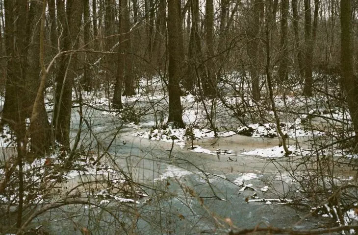 Ursynowska Escarpment reserve, 2023