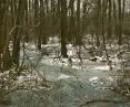 Ursynowska Escarpment reserve, 2023