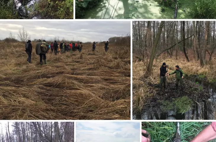 Social tours of Warsaw's wetlands in summer and autumn 2019
