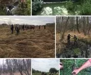 Social tours of Warsaw's wetlands in summer and autumn 2019
