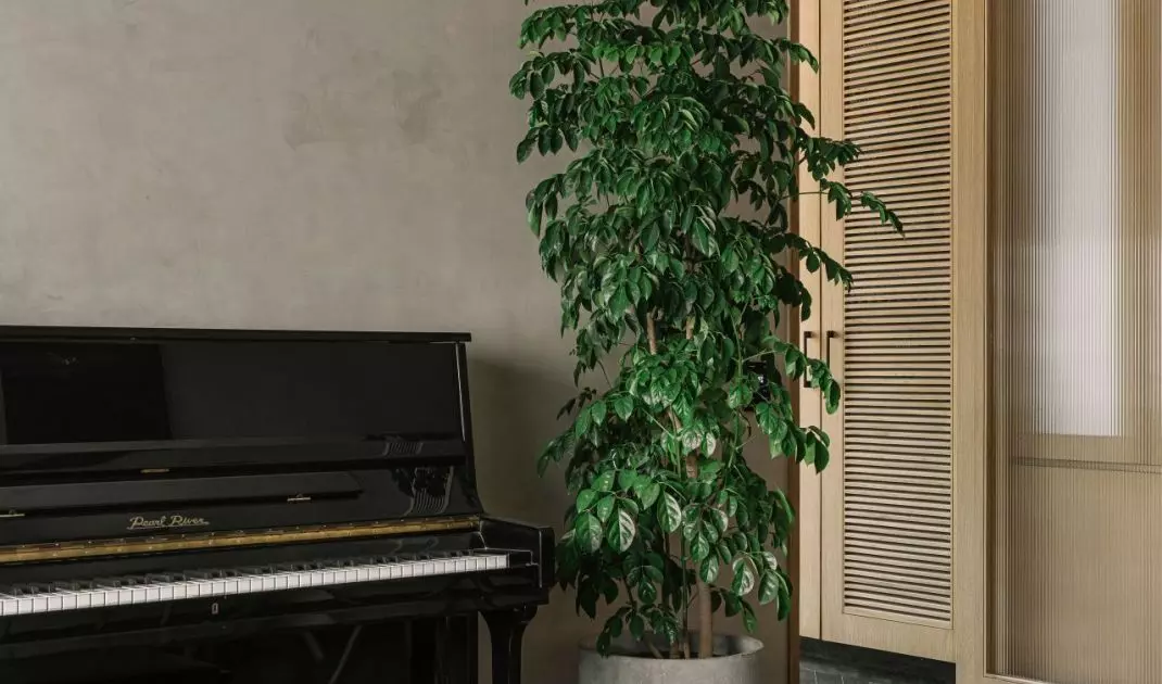 Kensho House w Pune, Indie