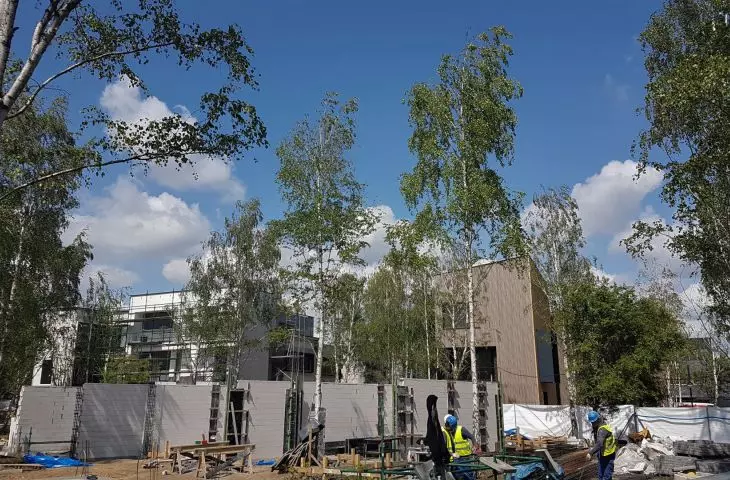 Osiedle Nowy Strzeszyn powstaje wśród licznie zachowanych i zabezpieczanych drzew.