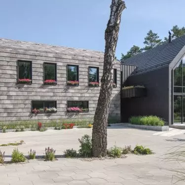House on the edge of the forest