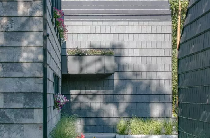 House on the edge of the forest