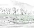 sketch