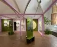 wystawa „Plantstoria” w MA we Wrocławiu