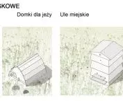 rozwiązania prośrodowiskowe
