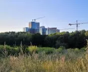wieżowce kompleksu biuro-hotelowego Andersia