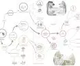 Wieś z widokami - diagram 