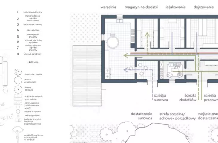 Gwar mleczny - plan