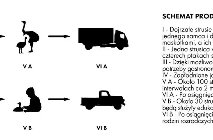 StruStory - schemat produkcyjny