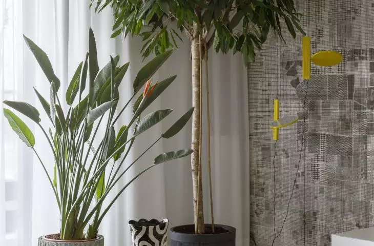 The apartment of interior designer Marta Pala-Szczerbak