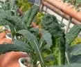 International Summer School - a future based on solid foundations, designing regenerative landscapes