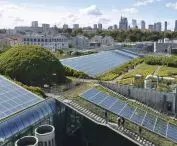 Garden on the roof of the Warsaw University Library (designed by Marek Budzyński, Zbigniew Badowski; landscape architect Irena Bajerska)