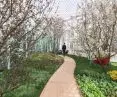 Living Nature project, spring