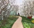projekt Living Nature, wiosna