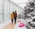 Living Nature project, winter