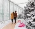 projekt Living Nature, zima