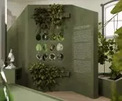 visualization