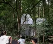 Dongmingshan Senyu Hotel w chińskim Hangzhou