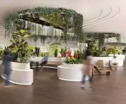 sensory garden