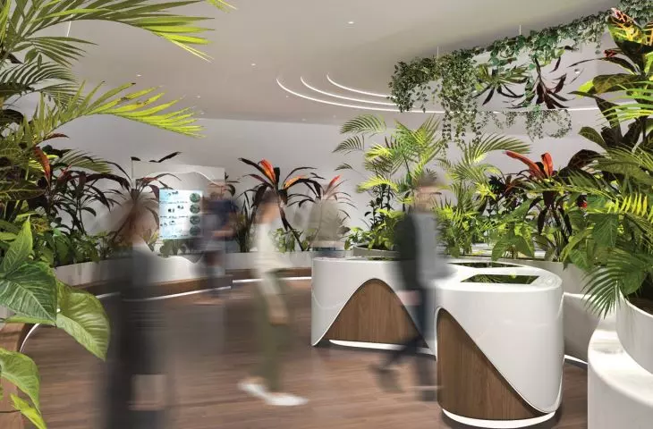 sensory garden