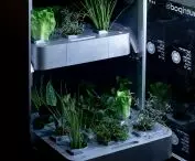 NutriPod - household appliance