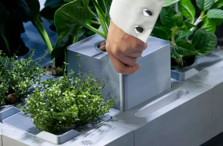 NutriPod - urządzenie AGD