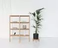 PIANO bookcase, TONDO flowerbed