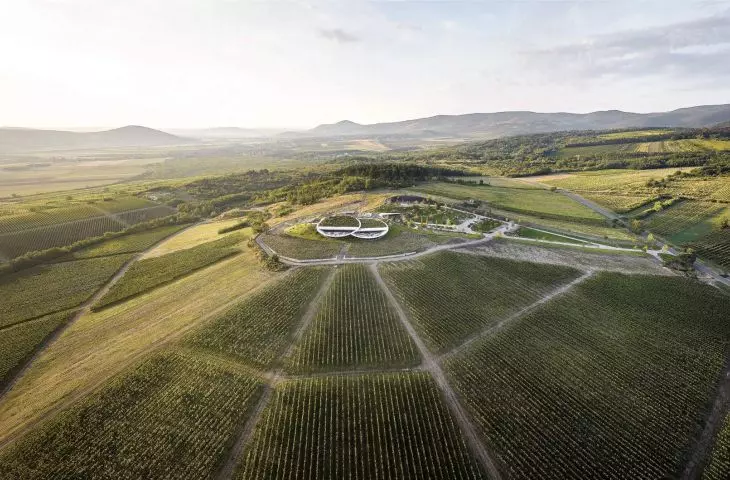 Sauska Tokaj Winery