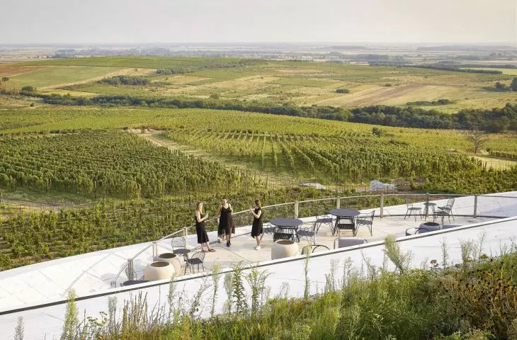 Sauska Tokaj Winery