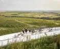 Sauska Tokaj Winery