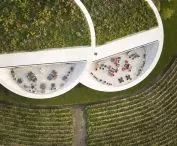 Sauska Tokaj Winery