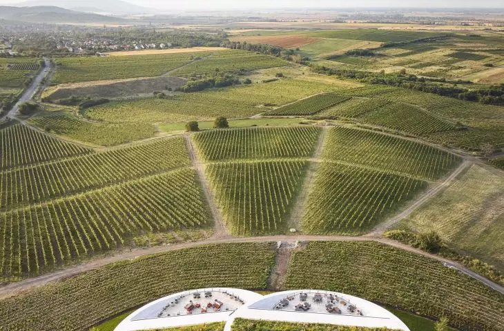 Winiarnia Sauska Tokaj