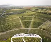 Sauska Tokaj Winery