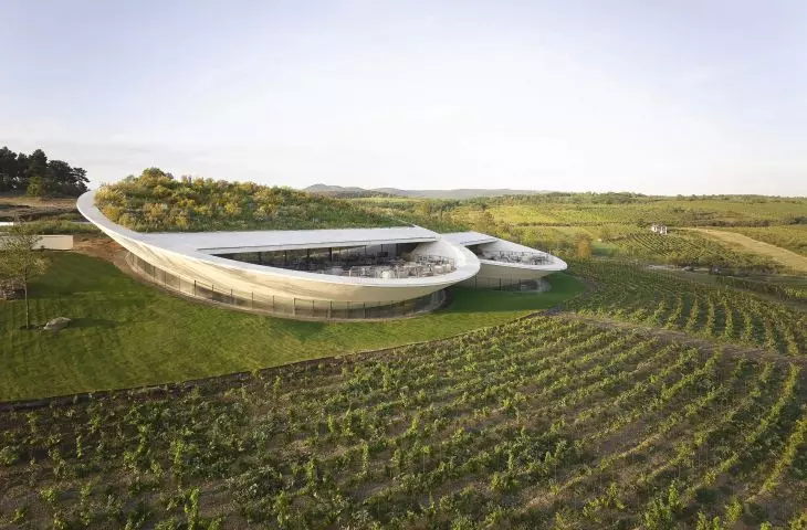 Sauska Tokaj Winery