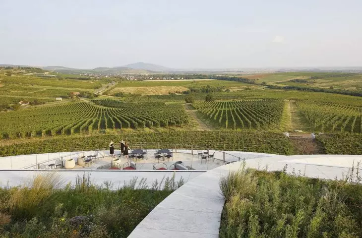 Sauska Tokaj Winery
