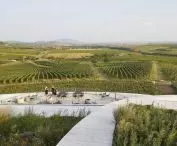 Sauska Tokaj Winery