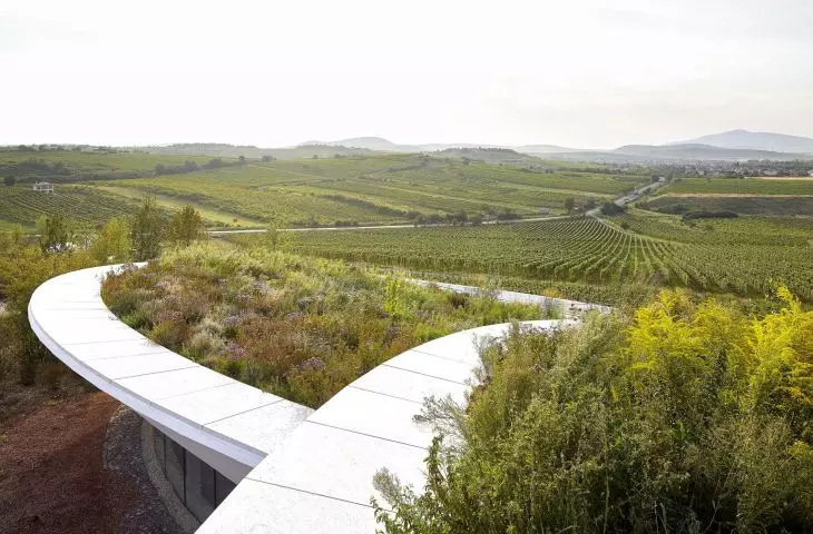 Winiarnia Sauska Tokaj