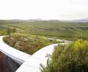 Sauska Tokaj Winery