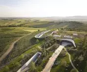 Winiarnia Sauska Tokaj