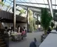palmiarnia w poznańskim parku Wilsona