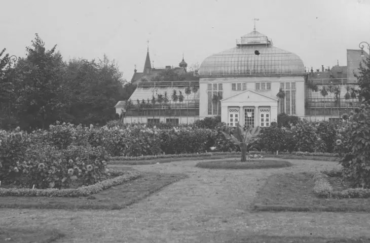 palmiarnia w poznańskim parku Wilsona