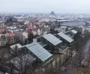 palmiarnia w poznańskim parku Wilsona