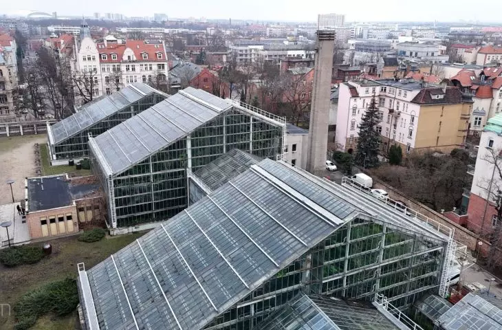 palmiarnia w poznańskim parku Wilsona