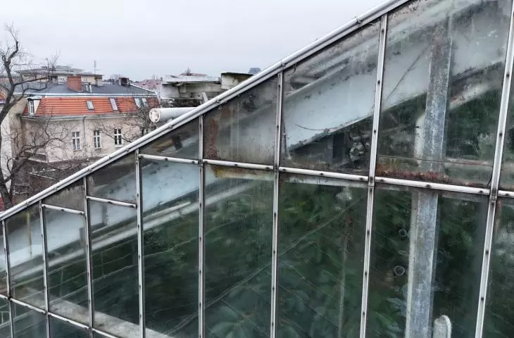palmiarnia w poznańskim parku Wilsona