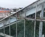 palmiarnia w poznańskim parku Wilsona